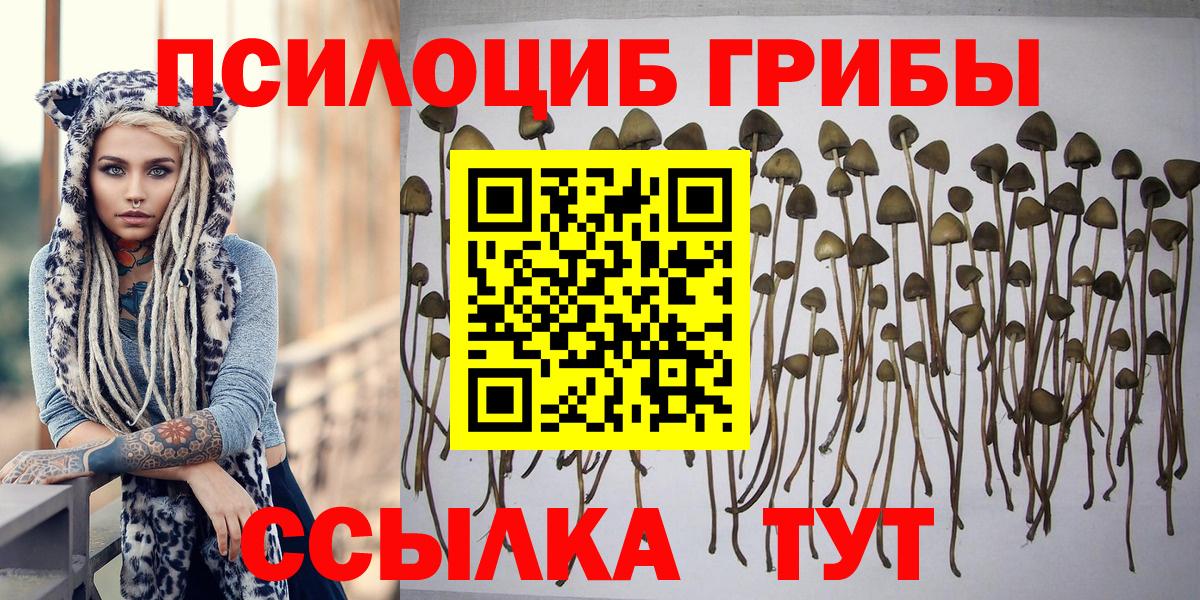 закладка  Вход с VPN  Рыбинск  Псилоцибиновые грибы MAGIC MUSHROOMS 