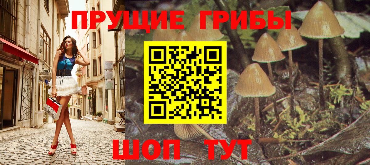 Псилоцибиновые грибы прущие грибы Рыбинск